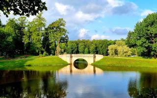 Школьный тур по Петербургу и Гатчине.