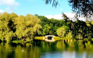 Экскурсия в Гатчину