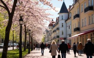 Тур Праздничный Калининград. Куршская коса -  Янтарный - Светлогорск.